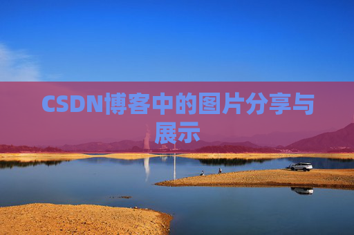 CSDN博客中的图片分享与展示